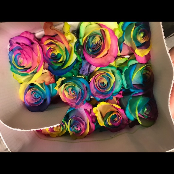 Meet your Posher, CoCo - Picture 2 of 2